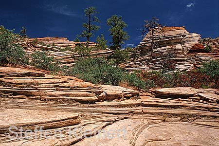 zion np 034